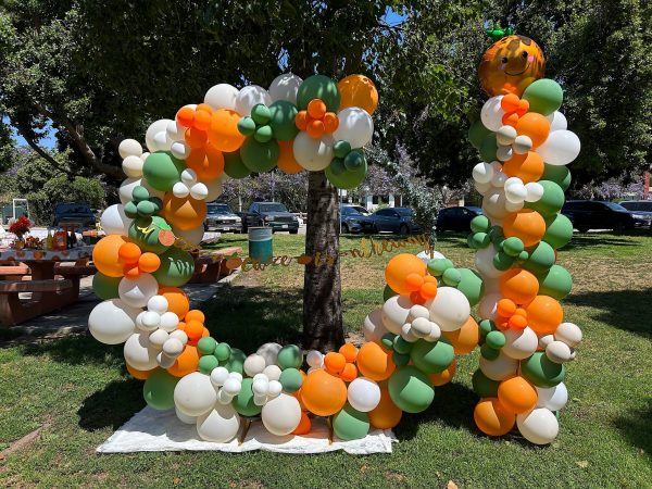 Circular Balloon Arch